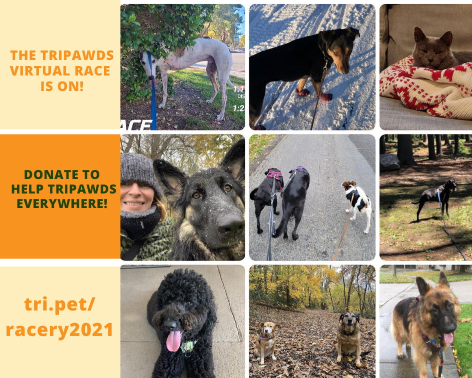 Tripawds Fundraiser Race