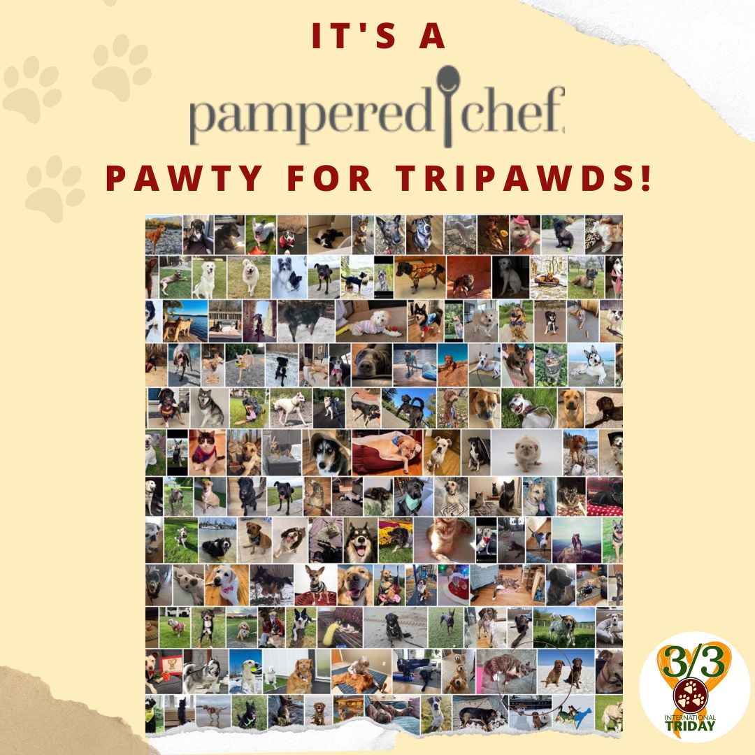 Tripawds Fundraiser