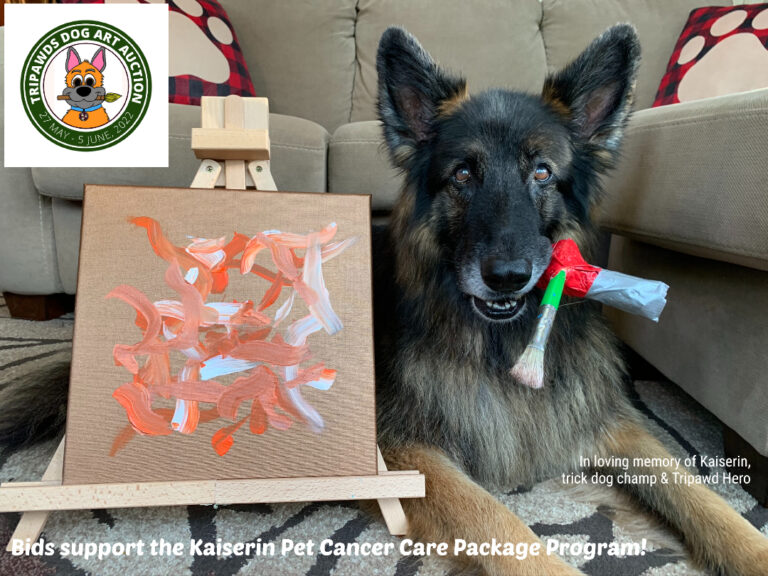 1 Week Until Tripawds Auction Bidding Starts Tripawds Foundation