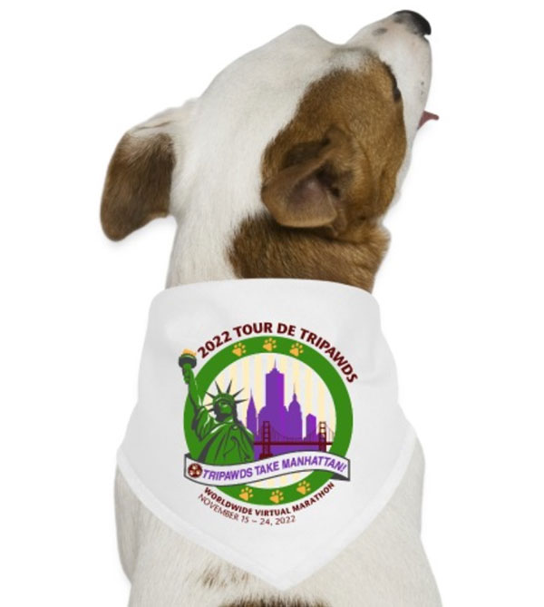 Get your limited edition Tripawds Dog Bandanna!