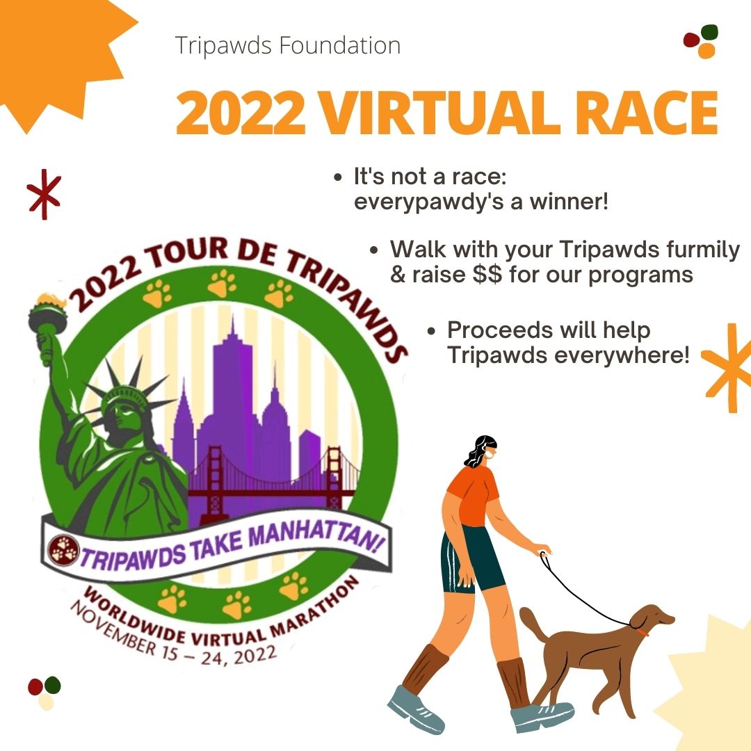 Join the 2022 Team Tripawds Virtual Race