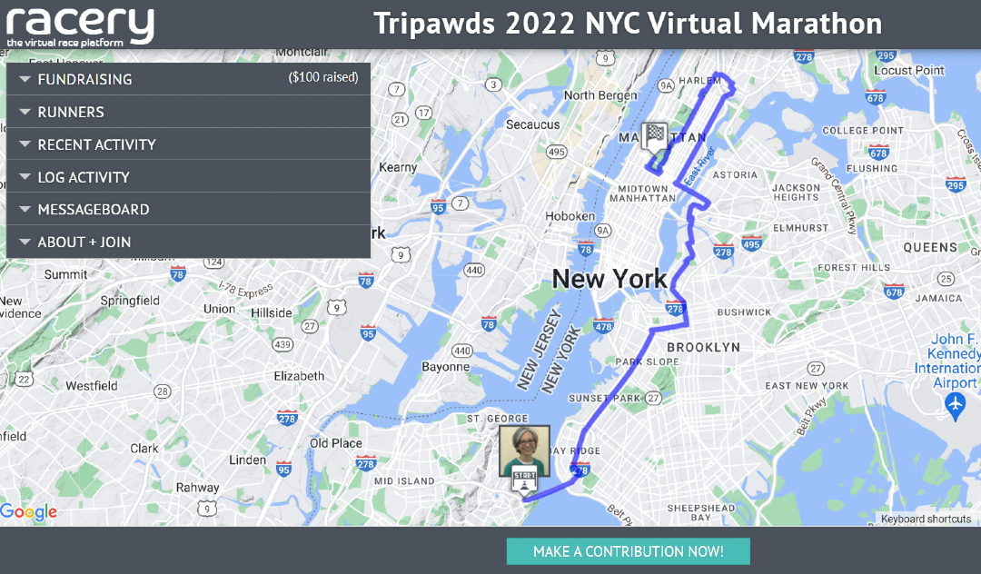 Tripawds Take Manhattan 2022 Virtual Race