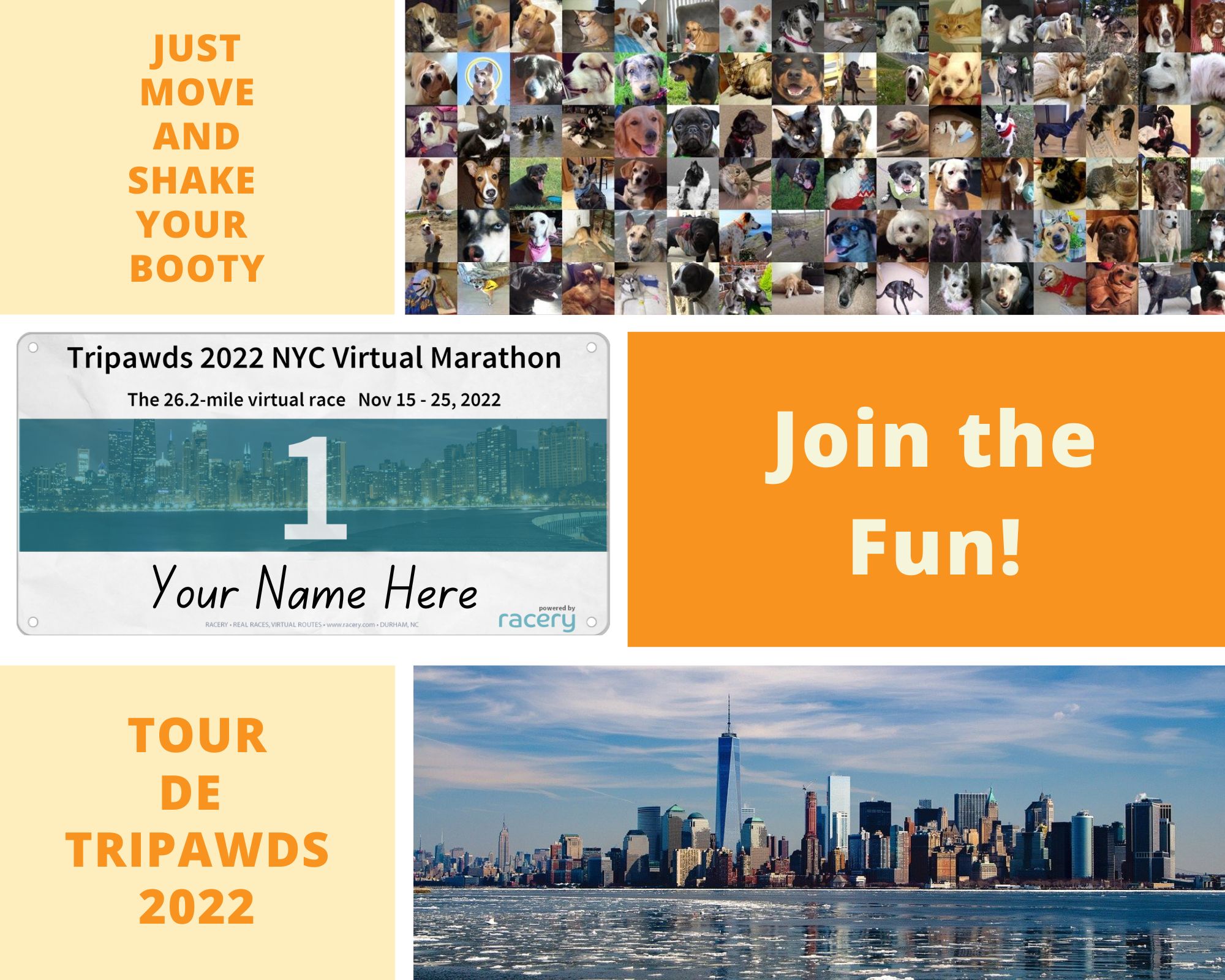 Register for the 2022 Tripawds Virtual Race