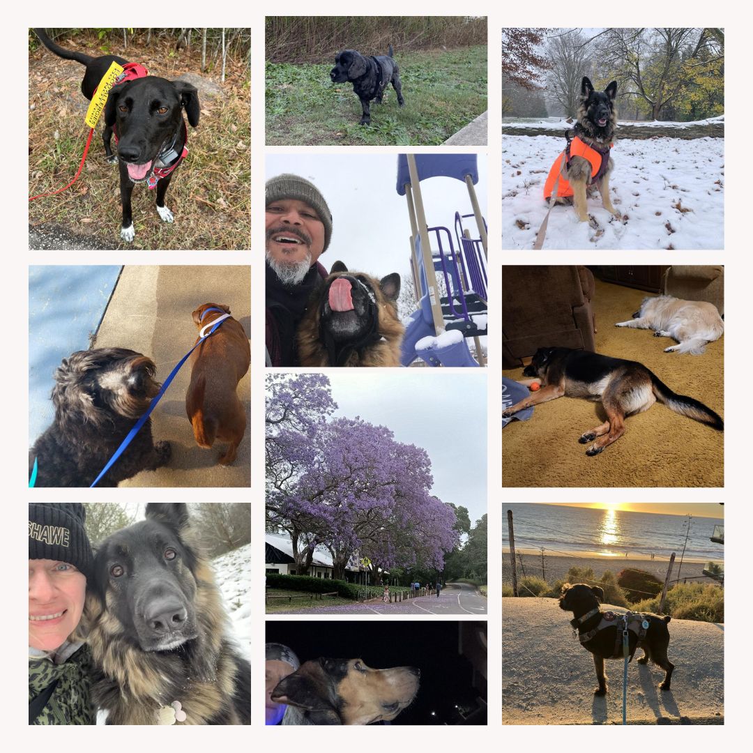 2022 Tripawds Virtual Race Fundraiser Participants