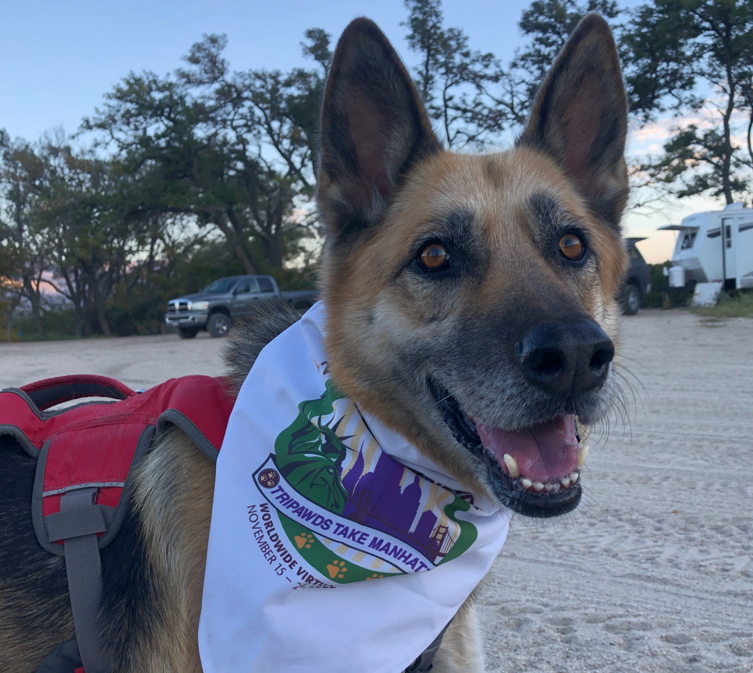 2022 Tripawds fundraiser virtual race