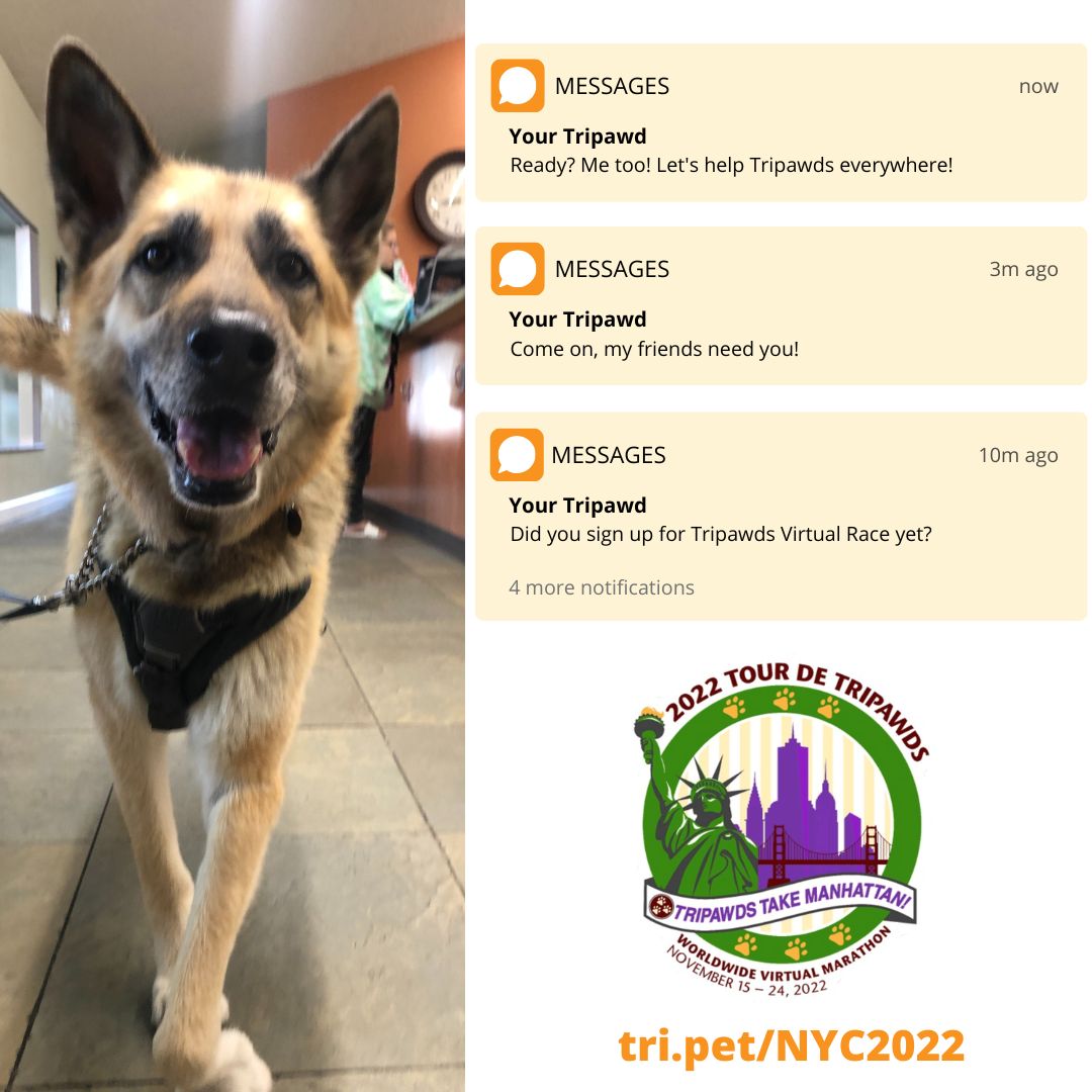 2022 Tripawds Fundraiser virtual race starts November 15