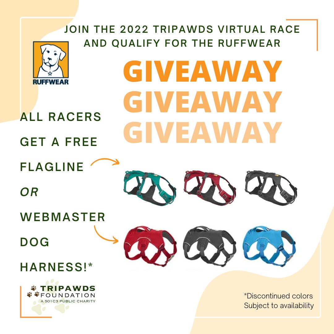Help Tripawds, win a free Ruffwear harness
