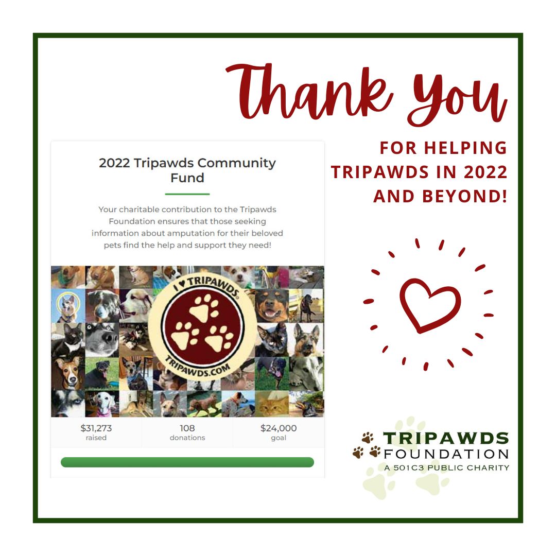 help Tripawds 2022