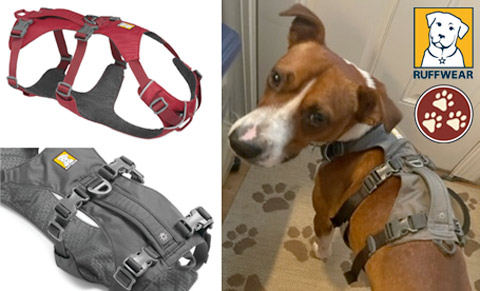 Help Tripawds And Get A Harness or Give A Harness