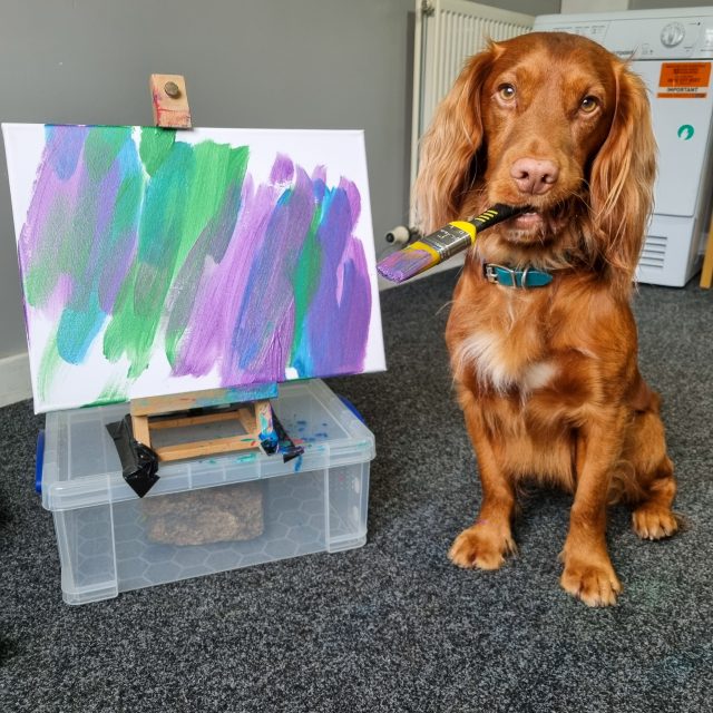 Painting dog Leo from Scotland