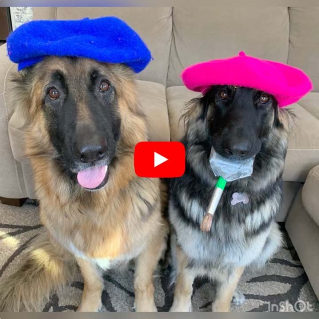 teach your dog to paint