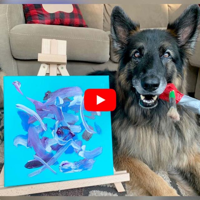 teach your dog to paint