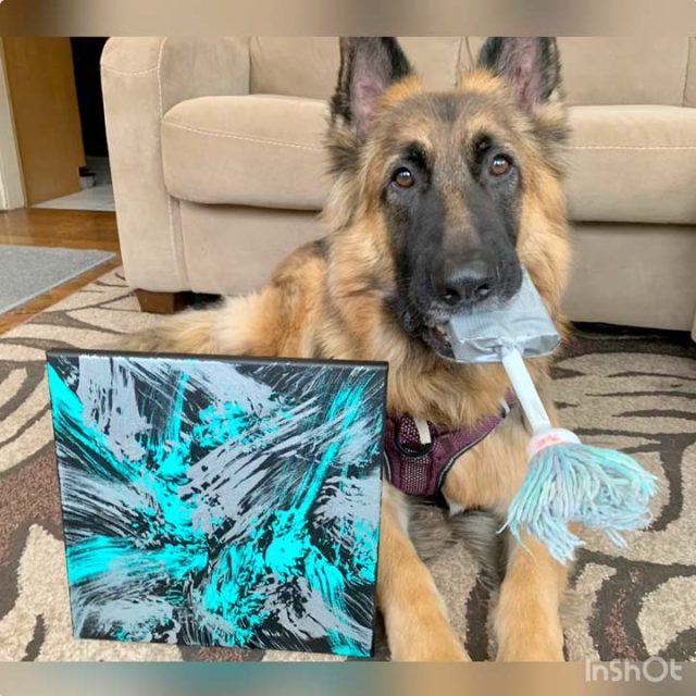 teach your dog to paint