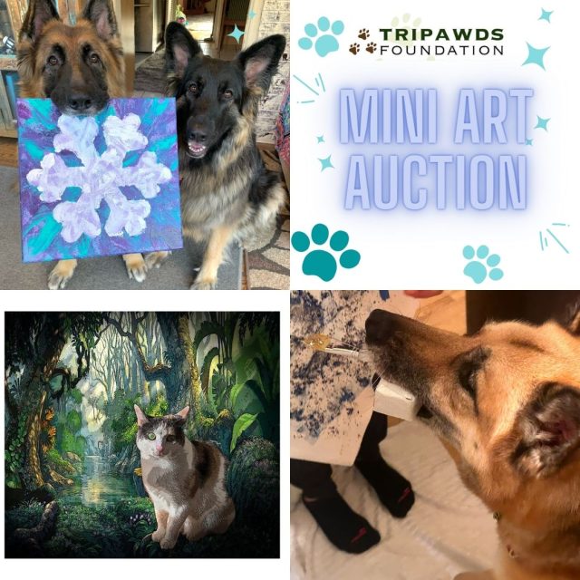 Tripawds 2024 Mini Auction holiday fundraiser