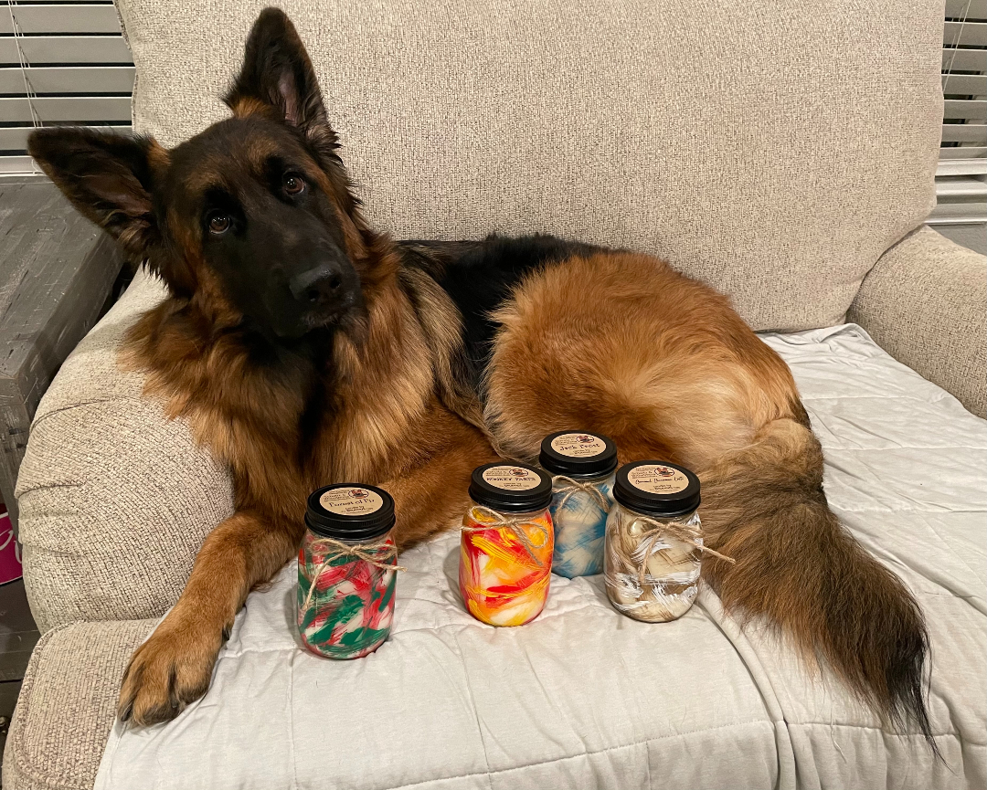 Three Shepherds' candles help Tripawds Kaiserin Pet Cancer Care Package with a generous donation to the Foundation!