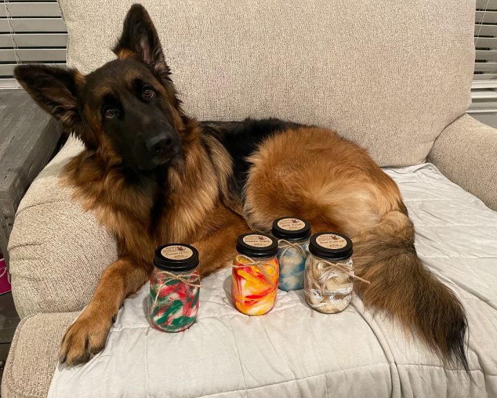German Shepherd Whisky sells hand painted candles to help Tripawds