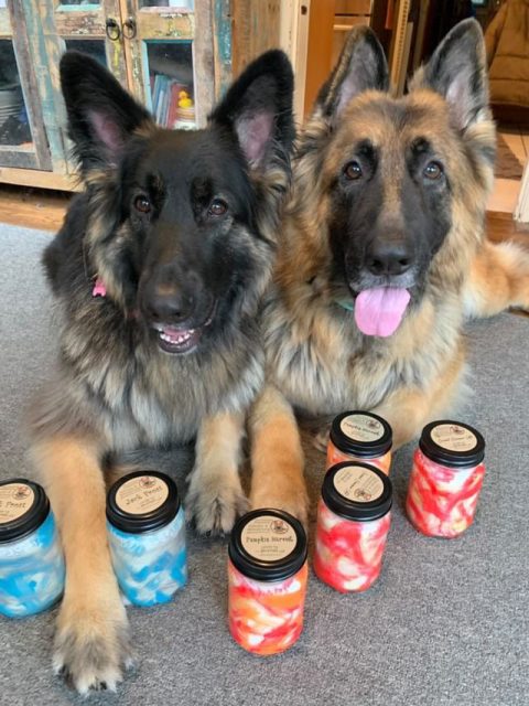 Hand painted jars by two talented Shepherds!