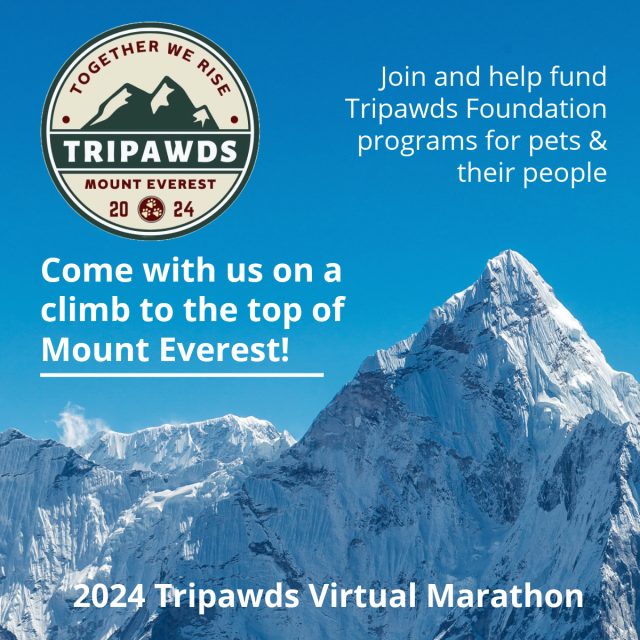 Register for the Tripawds Foundation Fundraiser