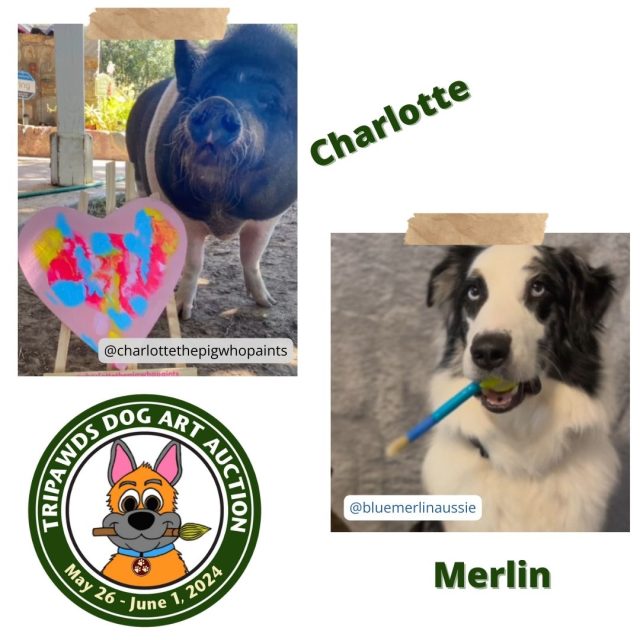 Charlotte the painting pig and Merlin the painting dog paint for 2024 Tripawds Dog Art Auction