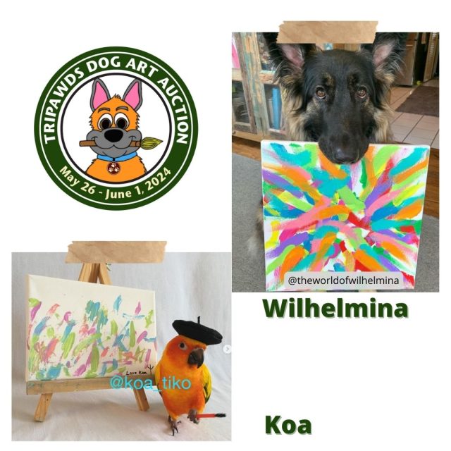 Koa the painting parrot and Wilhelmina the painting German Shepherd dog