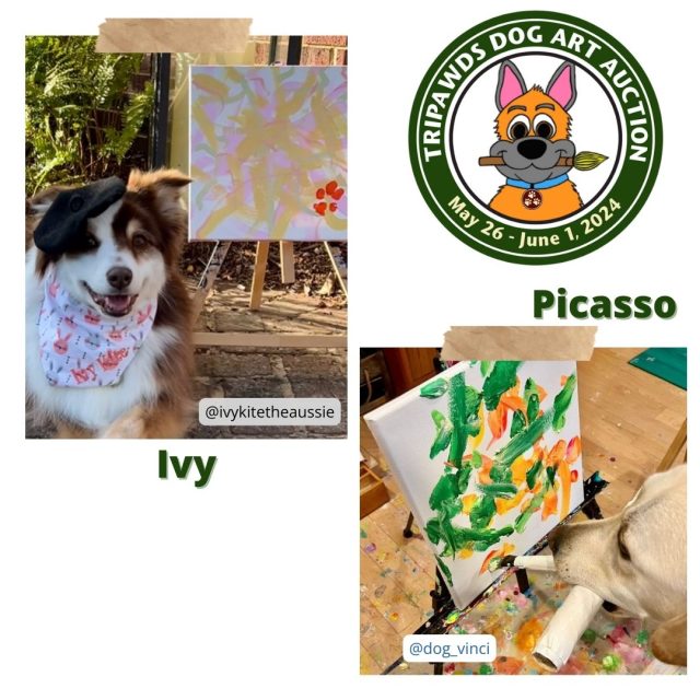 Ivy and Picasso painting dogs help Tripawds