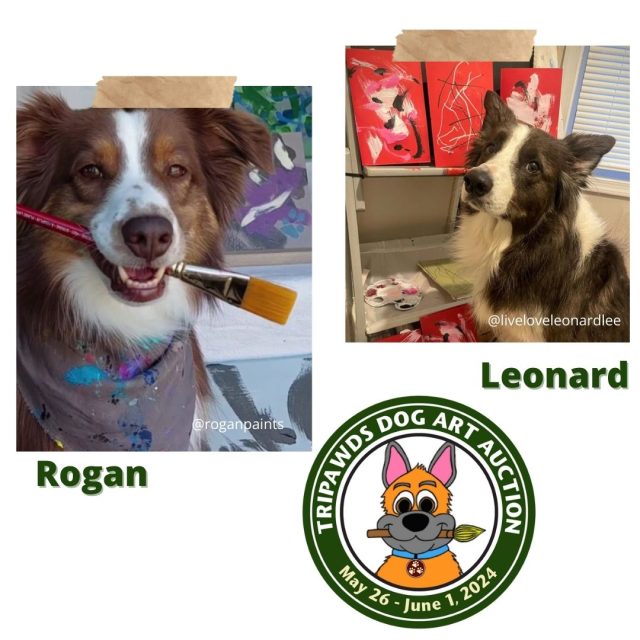 Rogan and Leonard the painting trick dogs