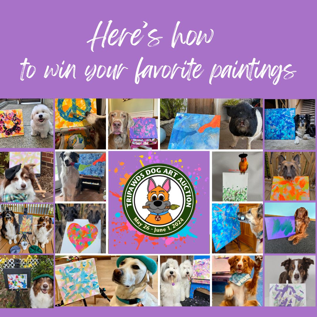 how to bid on 2024 Tripawds Dog Art Auction paintings