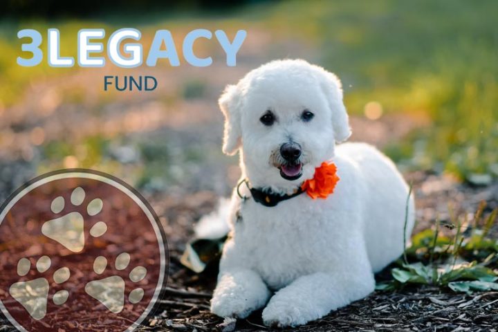 3 Legacy Fund