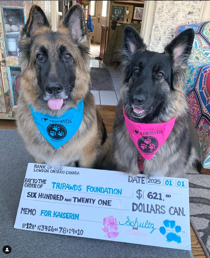 Schultz and Wilhelmina Donate to Tripawds