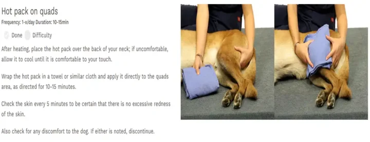 Tripawd rehab exercise