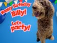 Hoppy Sweet 16 to Angel Billy Amore