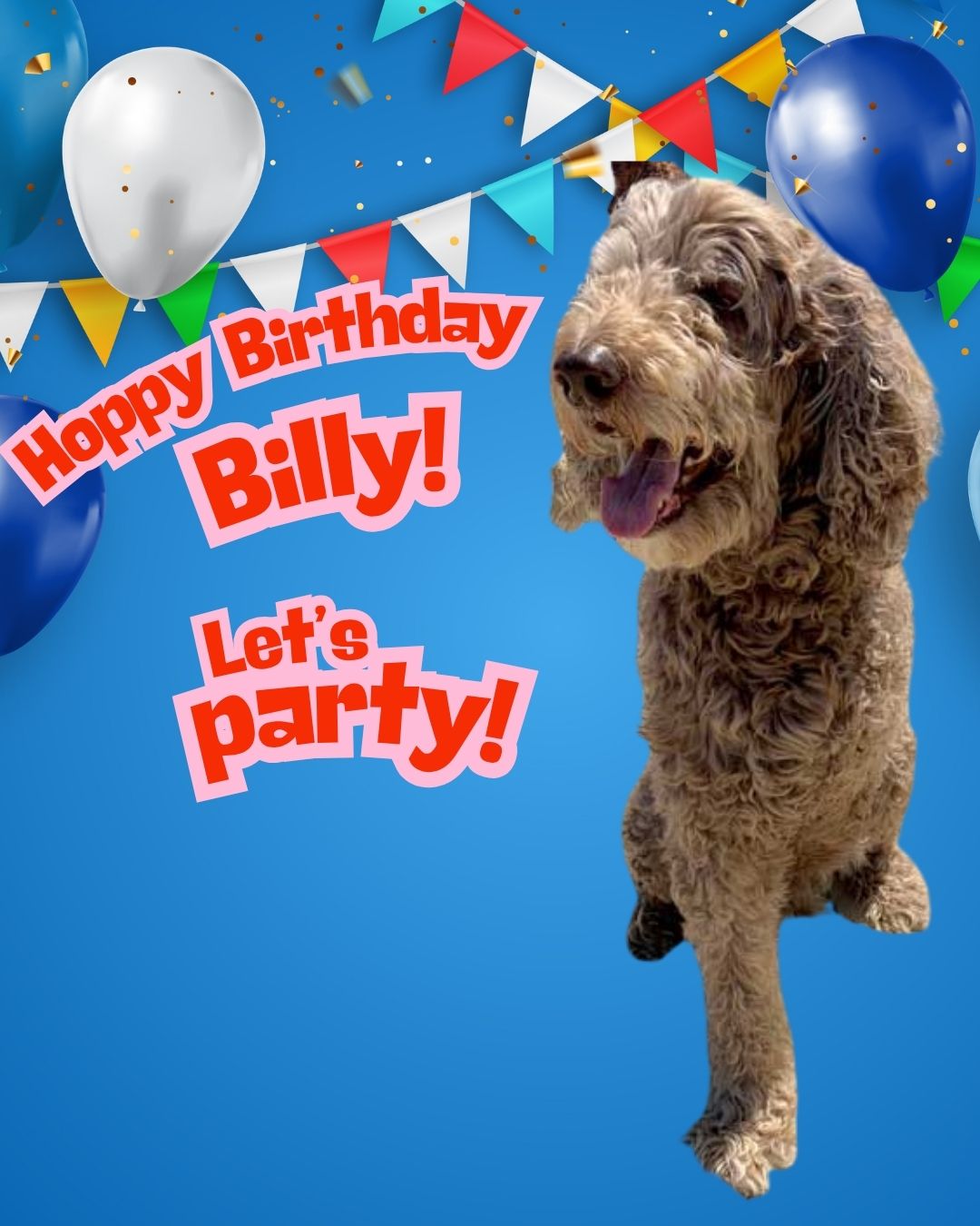 Tripawd Billy Birthday Party
