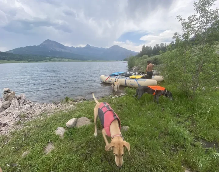 Paddling with Scarlet at the lake