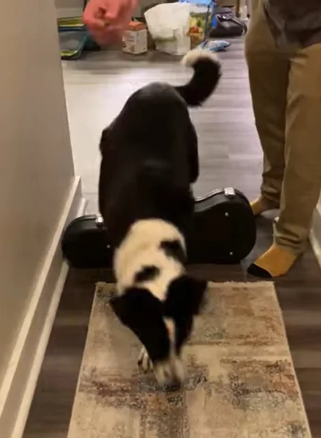 Sima practices the “step over” exercise to improve active range of motion.