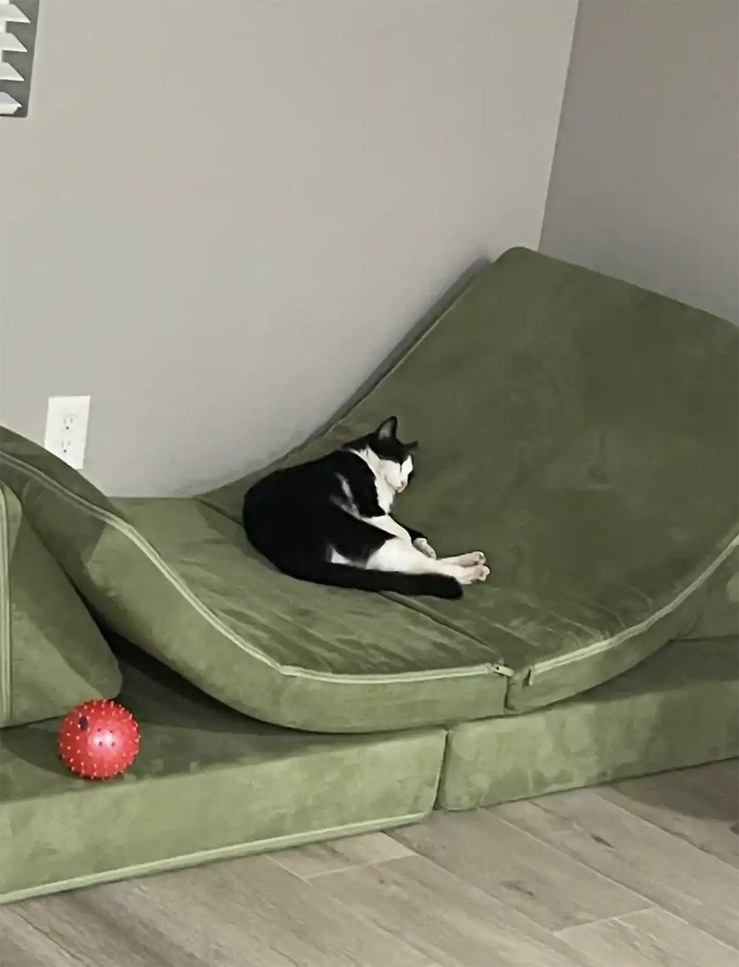 Black and white cat Wednesday lounging on a green chair.