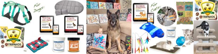 Thanks to winning bids from the annual Tripawds Dog Art Auction, this fund enables two Tripawds to receive a free virtual gift basket of goodies!