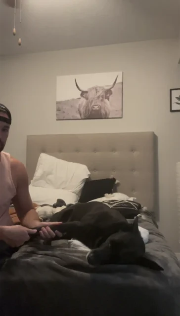 Learning Tripawd stretches after rehab therapy