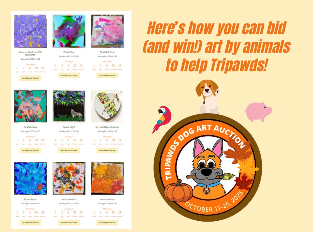 How to Bid on Tripawds 2025 Dog Art Auction Fundraiser