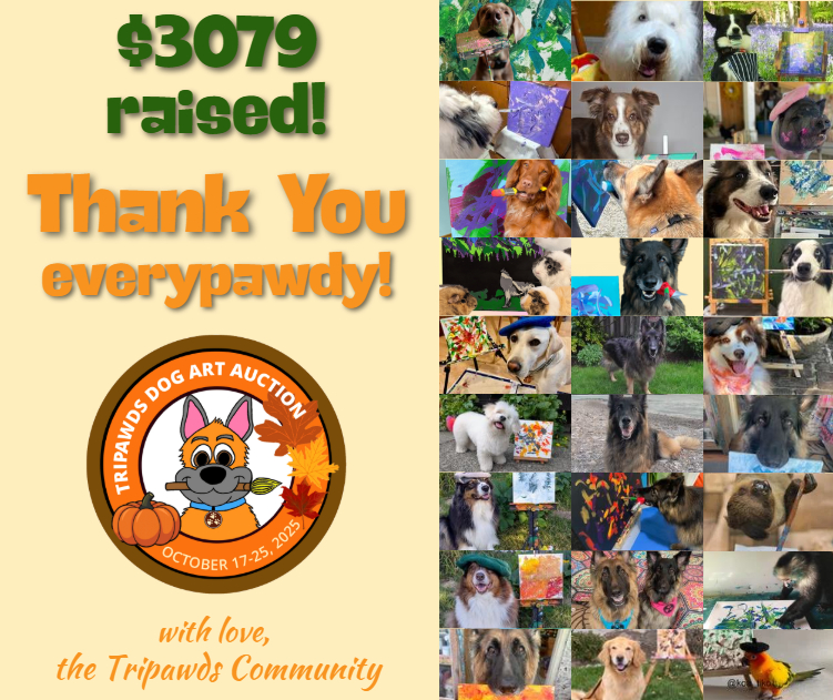 2025 Tripawds Dog Art Auction Results are in