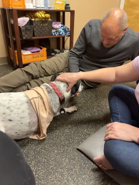 JJ receiving a massage during rehab