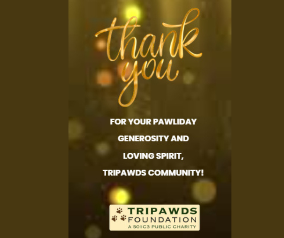 Tripawds 2025 Thank You for Holiday Donations