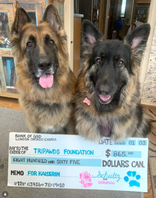 Donation by Schultz and Wilhelmina