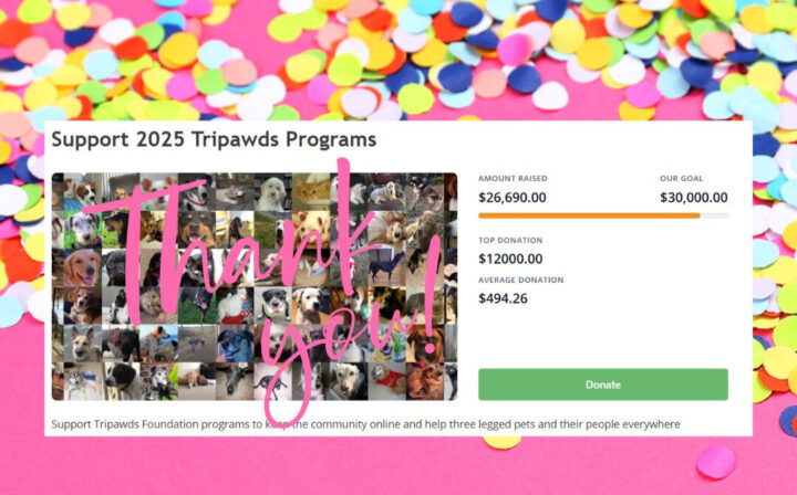 Tripawds 2025 Tripawds Community Fund campaign hub total