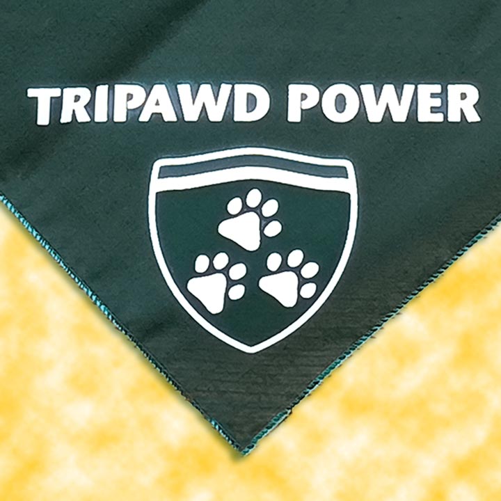 Tripawd Power