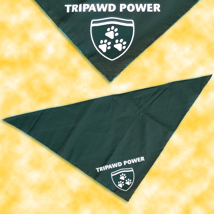 Tripawd Power