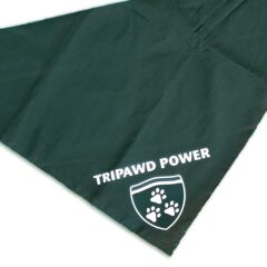 Tripawd Power
