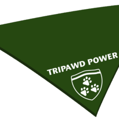 Tripawd Power