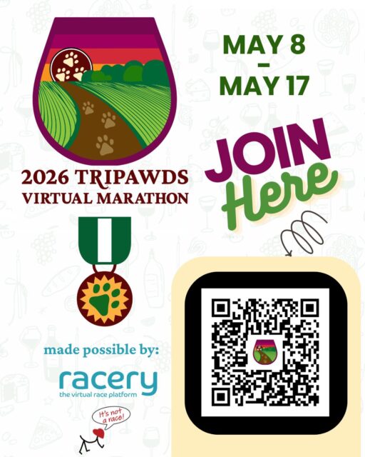 Tripawds 2026 Virtual Marathon in Napa Valley