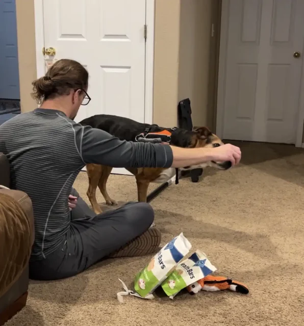 Mutt mix practices balance and strength exercises