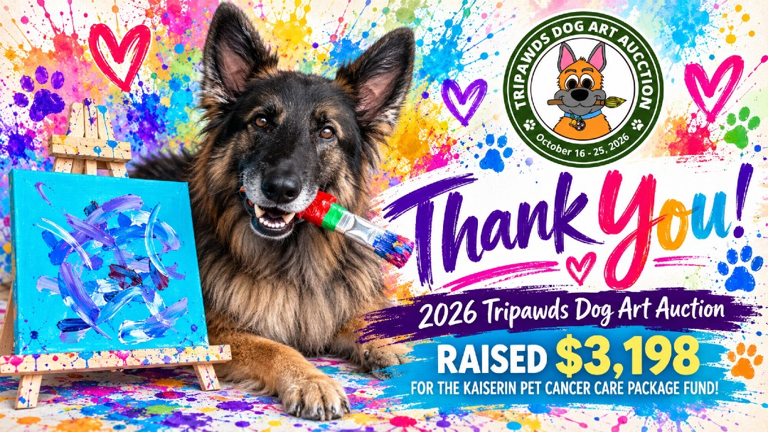 2026 Tripawds Dog Art Auction Thanks with Kaiserin
